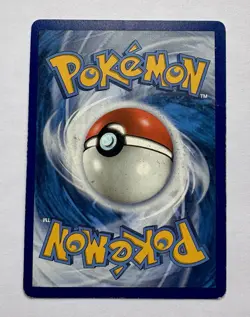 Pokemon TCG Mega M Camerupt EX Standard Size Card XY198 - Holo - Image 2