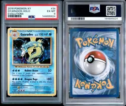 2016 Pokemon XY Evolutions Gyarados Holo #34/108 PSA 6 EX-MT - Image 3