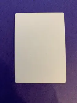 MTG Magic Swamp Signed Artist Proof X1 Battle For Zendikar Sam Burley - Image 2