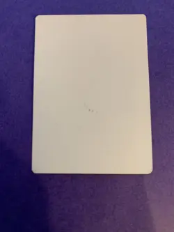 MTG Magic Forest Signed Artist Proof X1 Battle For Zendikar Sam Burley - Image 2