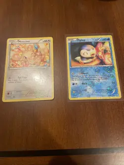 Pokemon Piplup RC6/RC25 Legendary Treasures Radiant Collection Holo Card - Image 1
