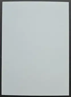 SIGNED MtG Magic A Maddocks _ Beta CE _ Artist Proof _ WALL OF BRAMBLES _ 1/50! - Image 4