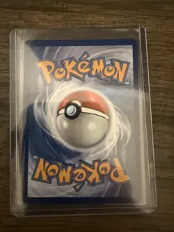 First Partner Illustration Collection Gen 7 Promo Cards (Set of 3) - Mint - Image 5