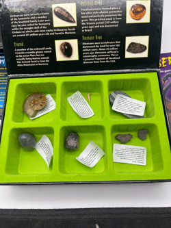 Weird n’ Wild Creatures Box 29 Big Info & 24 Trading Cards Fossil Collection - Image 3