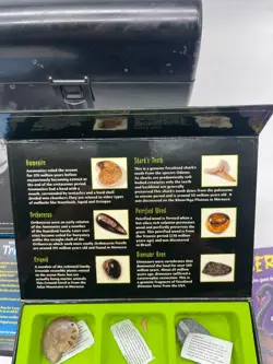 Weird n’ Wild Creatures Box 29 Big Info & 24 Trading Cards Fossil Collection - Image 4