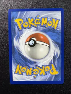 Pokemon Pidgey Illustration Rare IR Full Art Holo 207/197 Obsidian Flames - Image 3