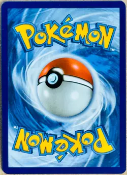 2025 POKEMON TCG JOURNEY TOGETHER SWINUB ILLUSTRATION RARE HOLO 165/159 NM+ - Image 2