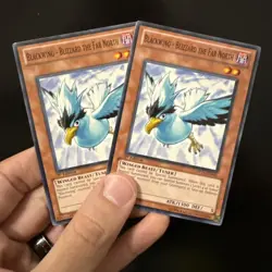 Yugioh! Blackwing - Blizzard the Far North x2 DP11-EN003 Common 1st Edition NM - Image 1