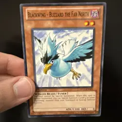 Yugioh! Blackwing - Blizzard the Far North x2 DP11-EN003 Common 1st Edition NM - Image 2