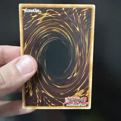 Yugioh! Blackwing - Blizzard the Far North x2 DP11-EN003 Common 1st Edition NM - Image 3