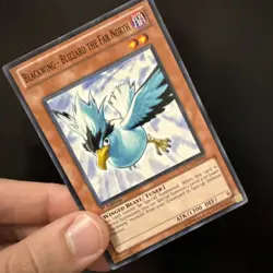 Yugioh! Blackwing - Blizzard the Far North x2 DP11-EN003 Common 1st Edition NM - Image 4