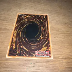 SDWD-EN003 Blue-Eyes White Dragon : Common Card : 1st Edition : YuGiOh TCG - Image 2