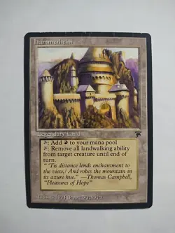 Hammerheim MP x1 Legends MTG Magic the Gathering 1x - Image 1