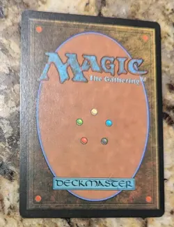 Kitsa, Otterball Elite - MTG - Bloomburrow - Regular Promo - NM - Image 2