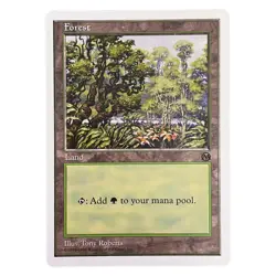 Forest Arena Anthologies Magic the Gathering MTG Land Near Mint - Image 2