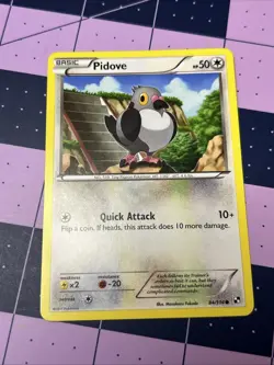 Pokemon TCG Pidove 84/114 Regular Common Black and White Card - Image 1