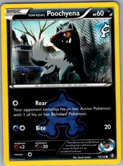 Team Aqua's Poochyena 16/34 Non Holo Double Crisis - Pokemon Card - NM - Image 1