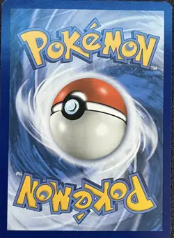 Phanpy & Teddiursa-Cute Cameo Gallery | Hidden Pokemon in Card Art- NM CUTE RARE - Image 2