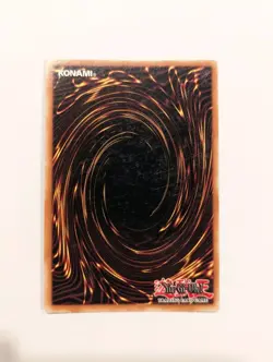 Raiza the Storm Monarch FOTB-EN026 1st Edition Super Rare LP - Image 2