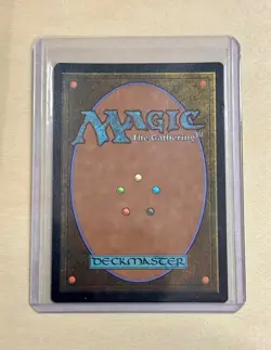 Appa, the Vigilant (Borderless) 62 Avatar Last Airbender: Eternal Legal MTG Foil - Image 2