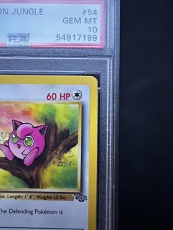 Jigglypuff 1st Edition Jungle 54/64 PSA 10 Gem Mint Pokemon Card 1999 Vintage - Image 3