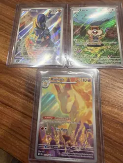 TT bundle Pokemon Sawk, Patrat, Rapidash - Image 1