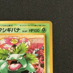 Venusaur 003 CD Promo Old Back 1999 Japanese Ver Pokemon Card VG RARE! - Image 3