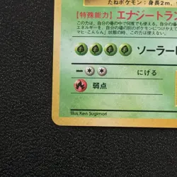 Venusaur 003 CD Promo Old Back 1999 Japanese Ver Pokemon Card VG RARE! - Image 5
