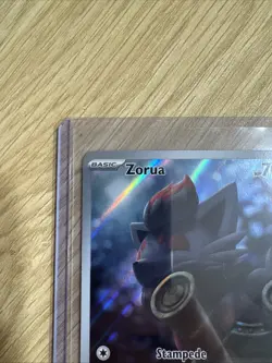 Zorua 075/064 Sv: Shrouded Fable Holo Pokemon TCG Illustration Rare - NM - Image 3