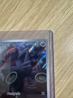 Zorua 075/064 Sv: Shrouded Fable Holo Pokemon TCG Illustration Rare - NM - Image 4