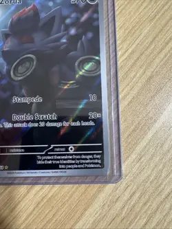 Zorua 075/064 Sv: Shrouded Fable Holo Pokemon TCG Illustration Rare - NM - Image 5