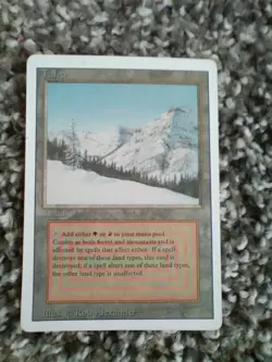 Taiga Revised Edition Regular MTG got it at a flee market not sure if it's real - Image 2