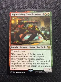 Raph & Mikey, Troublemakers Teenage Mutant Ninja Turtles Regular - Image 1