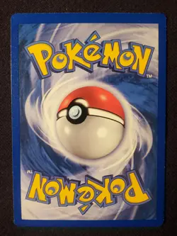 1999 Pokemon Base Set Shadowless 1st Edition Squirtle Mint-Near Mint+ UNUSED! - Image 4