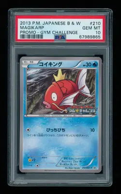 POKEMON Japanese B&W Gym Challenge MAGIKARP 210 Promo PSA 10 GEM MINT - Image 1