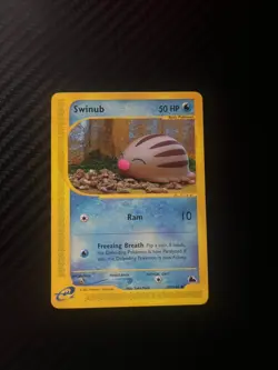 Swinub 107/144 Skyridge Non-Holo E-Series Pokemon TCG Card NM - Image 1