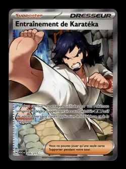 Carte Pokemon Entrainement de Karateka 255/217 Heros Transcendants FR - Image 1