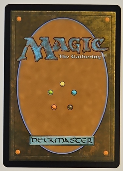 Wan Shi Tong, Librarian 0078 Avatar: The Last Airbender MTG Regular - Image 2