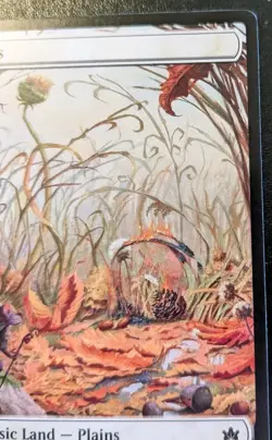 Plains (Autumn Full Art) 0264 BLB Land Bloomburrow Magic: The Gathering - Image 3