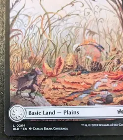 Plains (Autumn Full Art) 0264 BLB Land Bloomburrow Magic: The Gathering - Image 4