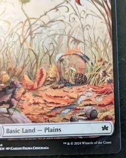 Plains (Autumn Full Art) 0264 BLB Land Bloomburrow Magic: The Gathering - Image 5