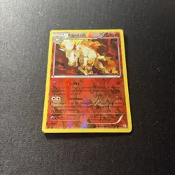 Rapidash 15/83 Generations Pokemon TCG NM - Image 3