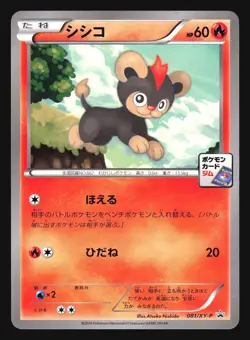 LITLEO 081/XY-P GYM DECK PROMO POKEMON JAPANESE - Image 2