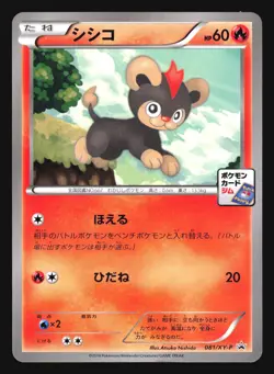 LITLEO 081/XY-P GYM DECK PROMO POKEMON JAPANESE - Image 4