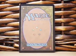 MTG Tamiyo, Field Researcher 0100 MYTHIC BORDERLESS | NM Near Mint | BLC | 2024 - Image 2