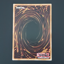 Yu-Gi-Oh! 2024 Amazoness Chain Master Secret Rare RP01-EN097 Free Ship - Image 4