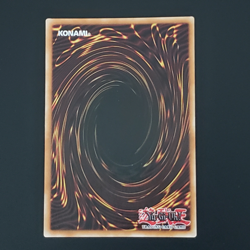 Yu-Gi-Oh! 2024 Amazoness Chain Master Secret Rare RP01-EN097 Free Ship - Image 5