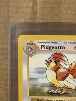 Pokemon Pidgeotto 22/102 Base Set (Shadowless) Rare 1999 Vintage - Image 3