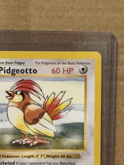 Pokemon Pidgeotto 22/102 Base Set (Shadowless) Rare 1999 Vintage - Image 4