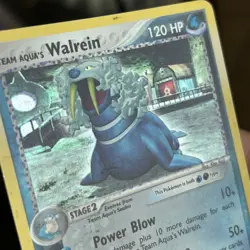 2004 Walrein EX Team Magma vs Team Aqua Holo #6/95 Pokemon Card *DMG* - Image 4